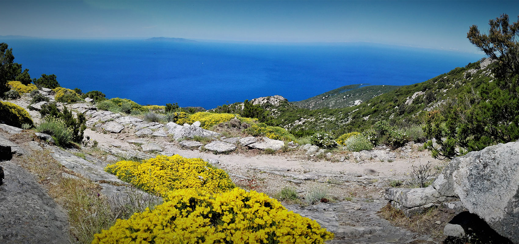 Feriewohnungen Elba Serena - Insel Elba