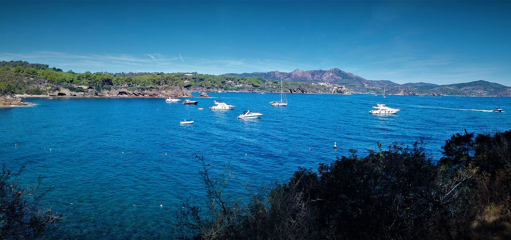 Appartamenti Elba Serena - Isola d'Elba